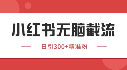 小红书截流同行客源，独家野路子获客玩法 日引200+暴力获客-800资源网