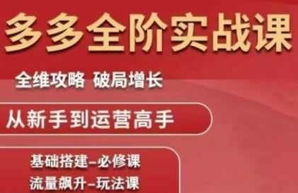 拼多多全阶实战课程，全维攻略，破局增长，从新手到运营高手-800资源网