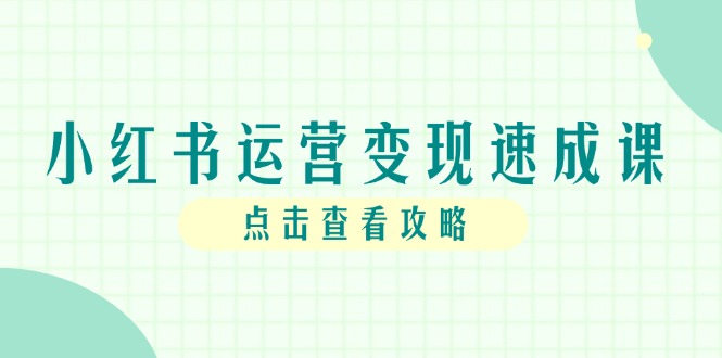 小红书运营变现速成课，账号搭建到暴力起号，个人IP全流程指南-800资源网