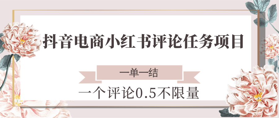 抖音电商小红书评论任务项目，一个评论0.5，一单一结 不限量-800资源网