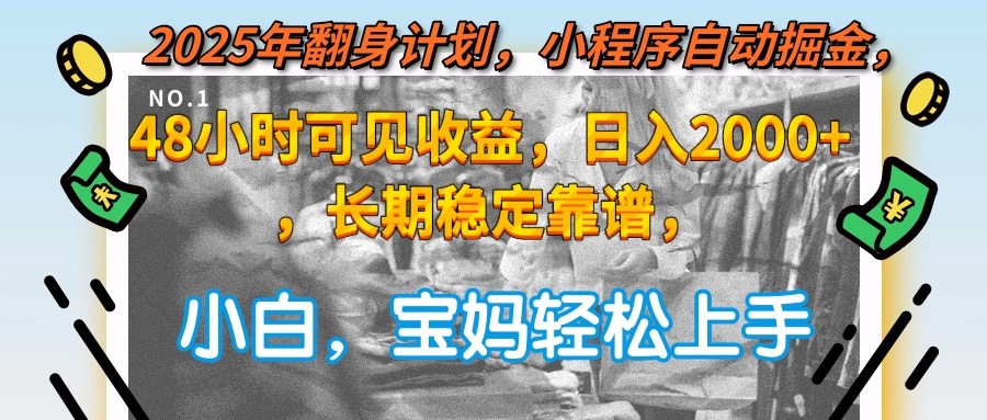 2025年翻身计划，小程序自动掘金48小时可见收益，日入2000+，长期稳定…-800资源网