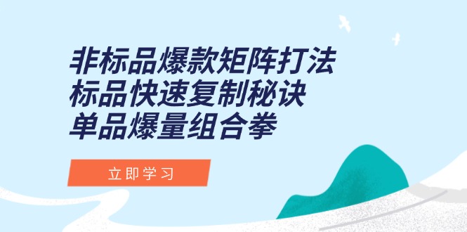 非标品爆款矩阵打法，标品快速复制秘诀，单品爆量组合拳-800资源网