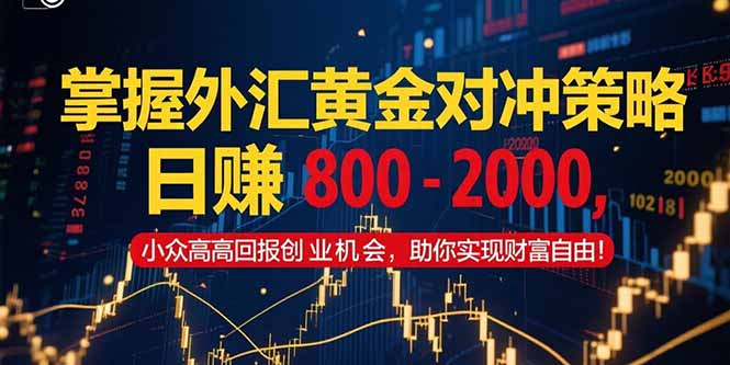 掌握外汇黄金对冲策略，日赚 800 – 2000，小众高回报创业机会，助你实…-800资源网