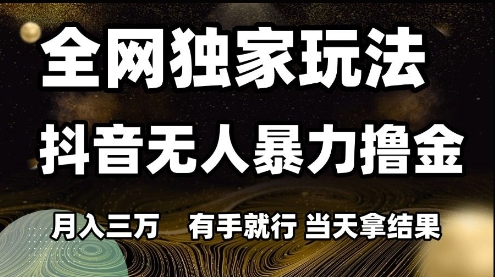 全网独家玩法抖音无人暴力撸金，月入3W，有手就行，当天拿结果-800资源网