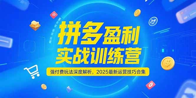 拼多多盈利实战训练营，强付费玩法深度解析，2025最新运营技巧合集-800资源网