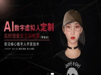 AI数字虚拟人定制，实时语音交互训练营（零基础），前沿核心数字人开发技术-800资源网