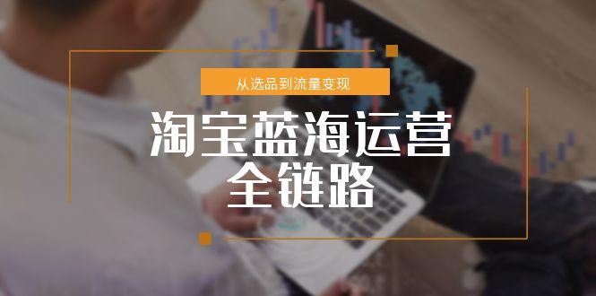 淘宝蓝海运营全链路，从选品到流量变现，小类目突围完整方案-800资源网