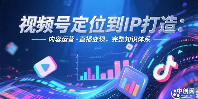 视频号定位到IP打造：账号搭建-内容运营-直播变现，完整知识体系-800资源网