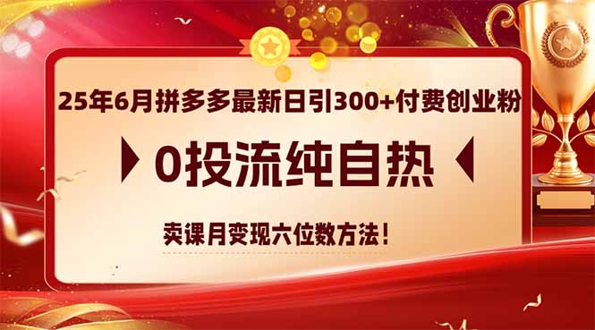 25年6月拼多多最新日引300+付费创业粉，0投流纯自热 卖课月变现六位数方法-800资源网