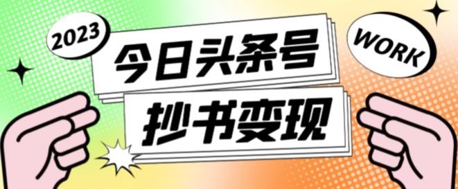 书冷门项目，操作简单，单号一天100+，有人一个月变现1w+！（软件+教程+玩法）-800资源网
