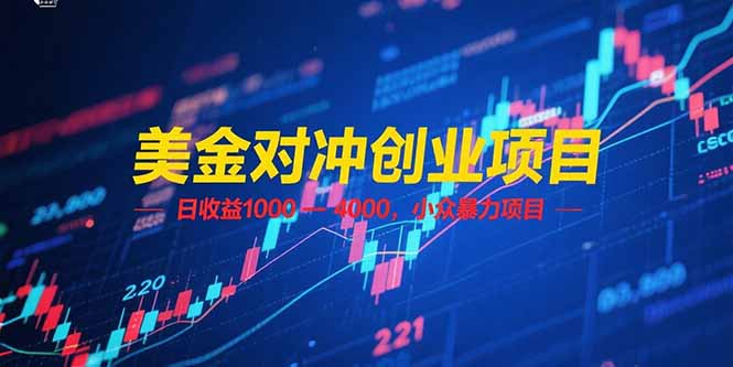 美金对冲创业项目，日收益 1000 – 4000，小众暴力项目-800资源网