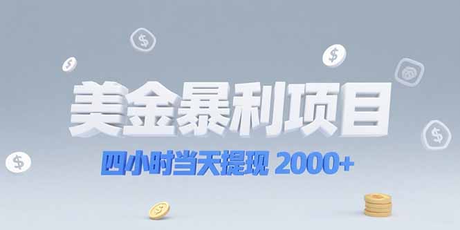美金暴利项目，四小时当天提现 2000+机会留给会选赛道的人-800资源网