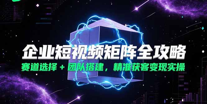 企业短视频矩阵全攻略，赛道选择+团队搭建，精准获客变现实操-800资源网