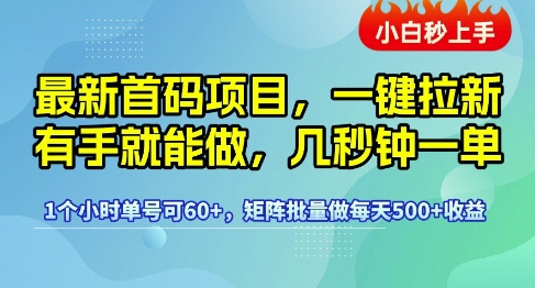 最新首码项目，一键拉新有手就能做，几秒钟一单，1个小时单号可60+，矩阵批量做每天5张-800资源网