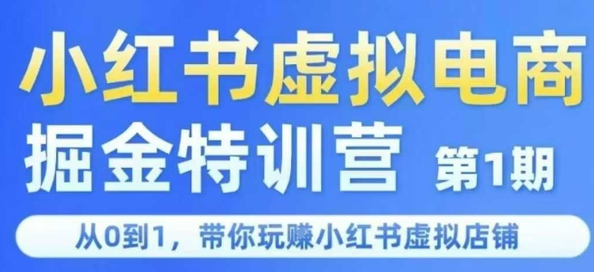 小红书虚拟电商掘金特训营第1期，从0到1，带你玩转小红书虚拟店铺-800资源网