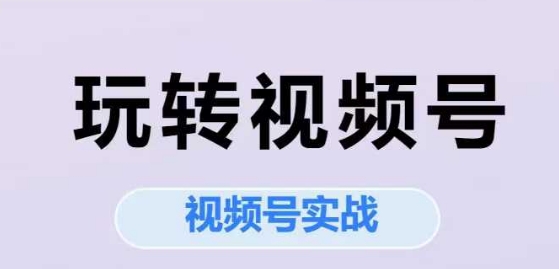 玩转视频号，视频号实战系列课-800资源网