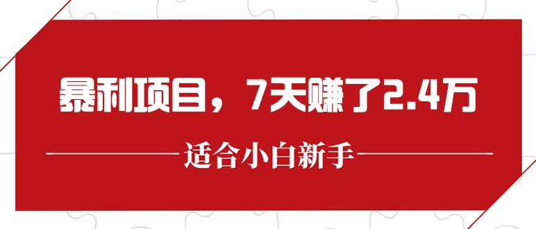 最新暴利项目，每单收益轻松在300以上，7天赚了2.4万-800资源网