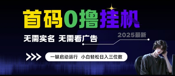 首码0撸挂G项目，无需实名无需看广告 一键启动运行，小白轻松日入三位数-800资源网