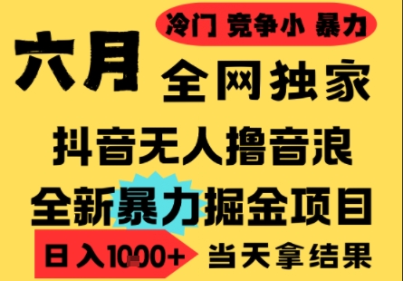 25年6月高爆抖音无人直播最新撸音浪掘金项目，小白可做，无脑日入1k+，门槛低可批量矩阵-800资源网