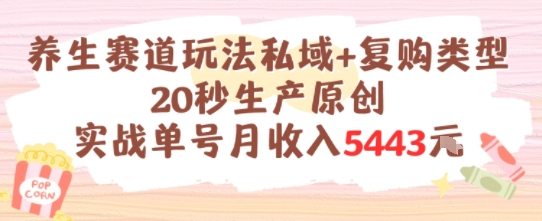 养生赛道玩法私域+复购类型，20秒生产原创实战单号月收入5k+-800资源网