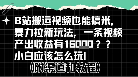 b站掘金计划？搬运视频也能挣拉新的收益，小白应该怎么玩！-800资源网