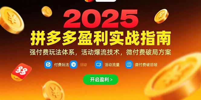 拼多多盈利实战指南，强付费玩法，活动爆流技术，微付费破局方案(更新7月)-800资源网