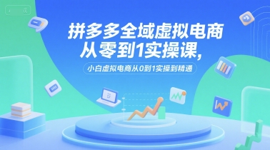 拼多多全域虚拟电商从零到1实操课，小白虚拟电商从0到1实操到精通-800资源网