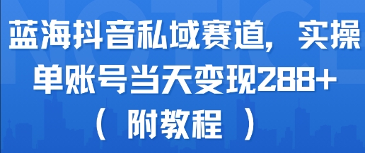 蓝海抖音私域赛道，实操单账号当天变现288+(附教程)-800资源网