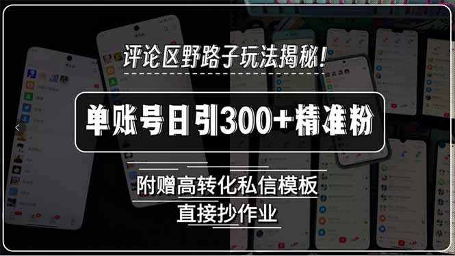 评论区野路子玩法揭秘！单账号日引300+精准粉，附赠高转化私信模板，直…-800资源网