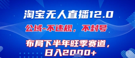 淘宝无人直播12.0，不封号，不违规，布局下半年旺季赛道，日入1k+(独家技术)-800资源网