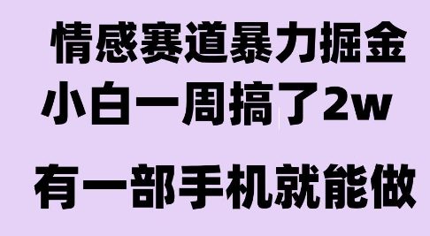 情感暴力掘金项目，新人操作一周挣了2W，长期稳定小白可做-800资源网
