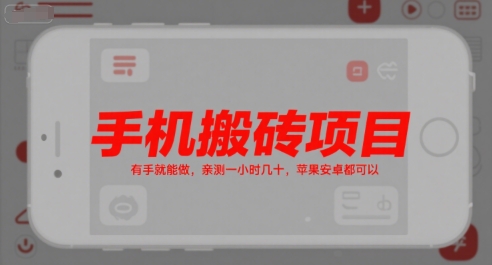 手机搬砖项目，有手就能做，亲测一小时几十，苹果安卓都可以-800资源网