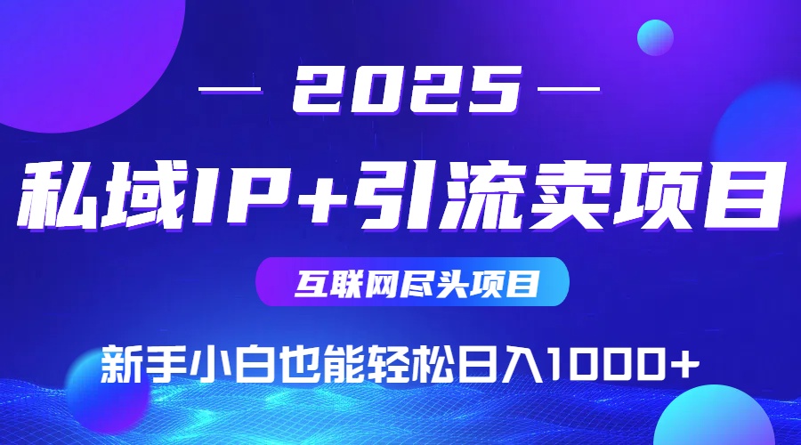 2025网创尽头项目，私域IP+引流，新手小白也能在家日入1000+-800资源网