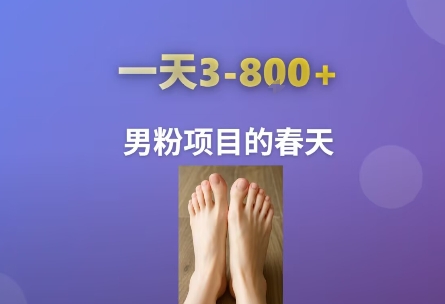 AI一键生成美女素材，一天收益3-8张，男粉项目的春天-800资源网