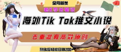 海外tiktok小说推文暴力项目，高停留率，高转化率，上手后一天搞顿饭钱不是问题-800资源网