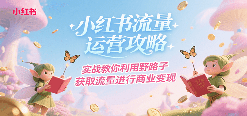 小红书流量运营攻略，实战教你利用野路子获取流量进行商业变现-800资源网