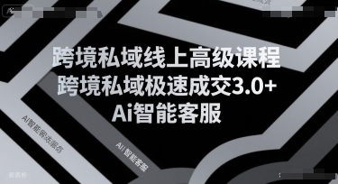 跨境私域线上高级课程，跨境私域极速成交3.0+Ai智能客服-800资源网