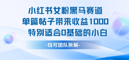 小红书女粉黑马赛道单篇帖子带来收益1k+，特别适合0基础的小白-800资源网