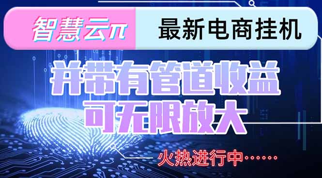 智慧云π电脑挂机单机每天收益300—500+ 并带有团队管道收益 可无限放大-800资源网