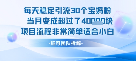每天稳定引流30个人 当月变成超过了4个W项目流程非常简单适合小白-800资源网