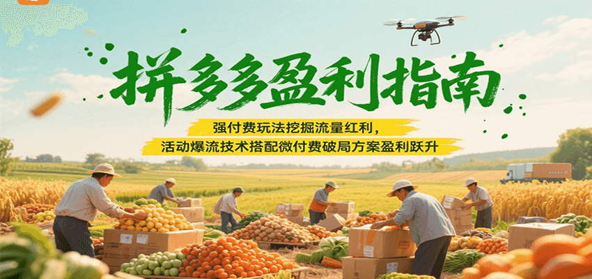 拼多多盈利指南：强付费玩法挖掘流量红利，活动爆流技术搭配微付费方案实现盈利跃升-800资源网