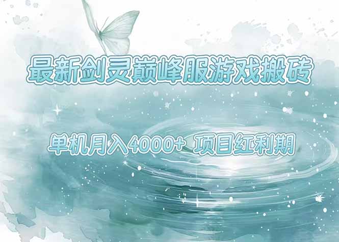 最新剑灵巅峰服游戏搬砖，项目红利期，单机稳定4000+操作简单好上手-800资源网