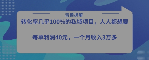 转化率最高的私域项目，每单利润40-50米，月入过1w-800资源网