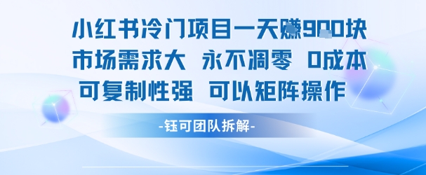 小红书冷门项目一天收益9张，市场需求大，0成本，可复制性强可以矩阵操作-800资源网