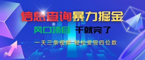 信息查询暴力掘金，一天三条视频，轻松变现四位数，风口项目干就完了-800资源网