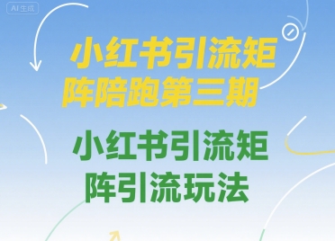 小红书引流矩阵陪跑第三期，小红书引流矩阵引流玩法-800资源网