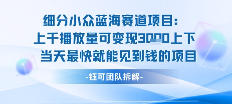 小众蓝海赛道项目：当天变现1k+适合新手操作 +适合长期玩-800资源网