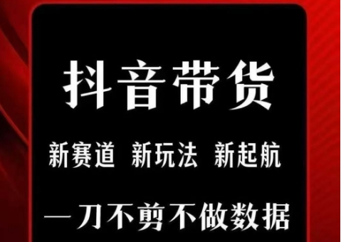 抖音短视频一刀不剪带货，不剪辑，不直播，每天发个视频，等着出单获取带货佣金-800资源网