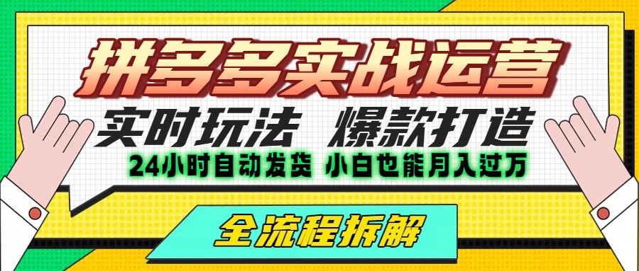 拼多多最新实战运营高投产：长久稳定项目，单店利润一天三位数-800资源网