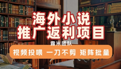 海外小说推广返利项目，视频投喂， 一刀不剪，矩阵批量-800资源网